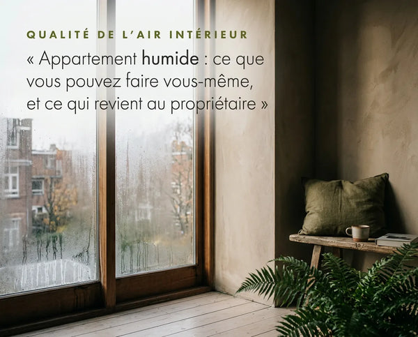 Appartement humide : ce que vous pouvez faire vous-même, et ce qui revient au propriétaire