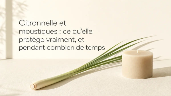 Citronnelle et moustiques : ce qu'elle protège vraiment, et pendant combien de temps