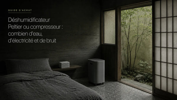 Déshumidificateur Peltier ou compresseur : combien d'eau, d'électricité et de bruit