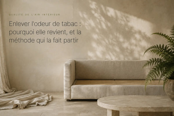 Enlever l'odeur de tabac : pourquoi elle revient, et la méthode qui la fait partir