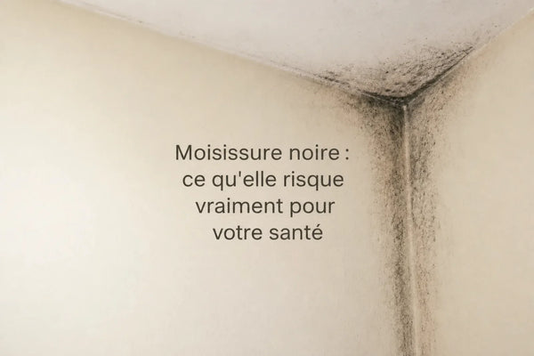 Moisissure noire sur un angle de mur intérieur — guide L’Air Sain sur les risques réels et le traitement