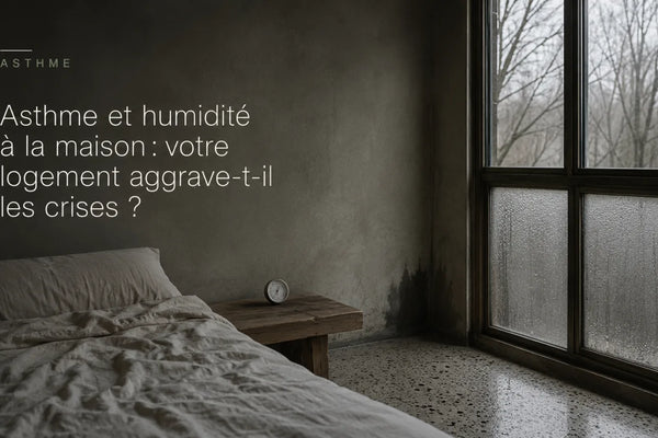 Chambre en hiver aux murs d'enduit gris, vitre embuée en partie basse, petit hygromètre sur la table de nuit, lumière froide