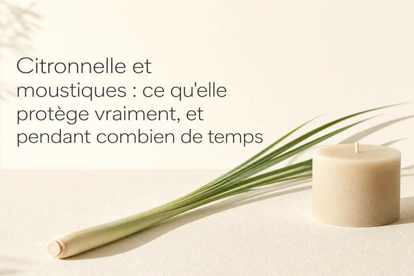 Citronnelle et moustiques : ce qu'elle protège vraiment, et pendant combien de temps