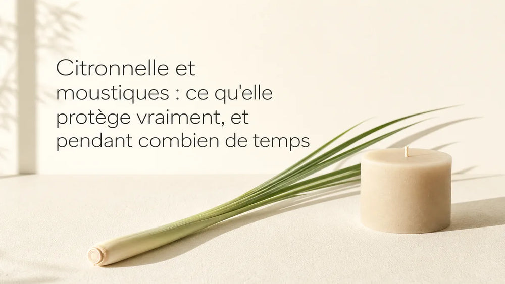 Citronnelle et moustiques : ce qu'elle protège vraiment, et pendant combien de temps