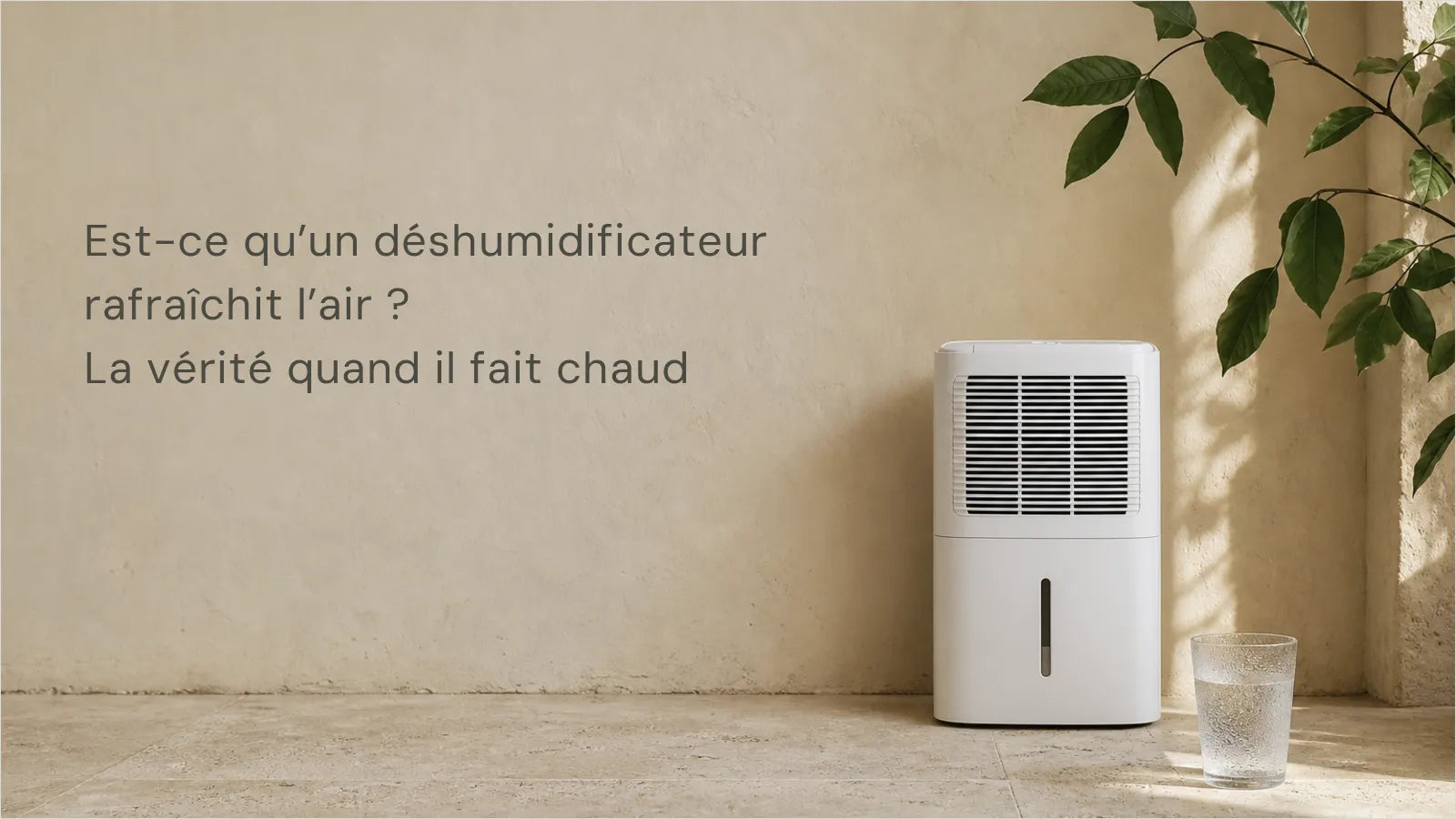 Est-ce qu'un déshumidificateur rafraîchit l'air ? La vérité quand il fait chaud