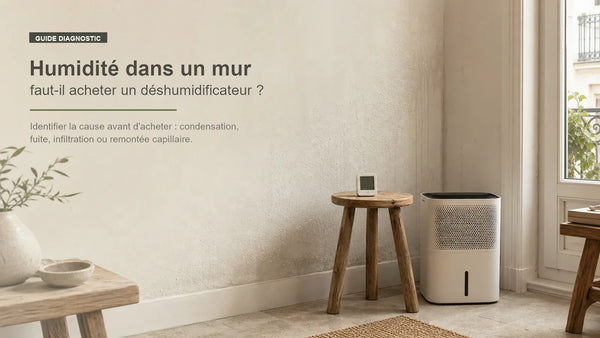 Humidité dans un mur : faut-il acheter un déshumidificateur ?