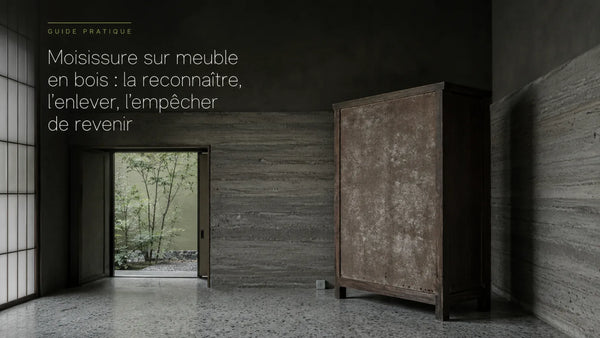Armoire ancienne en bois écartée d'un mur en terre crue, voile blanc de moisissure sur son panneau, capteur posé au sol derrière, lumière froide gris-vert
