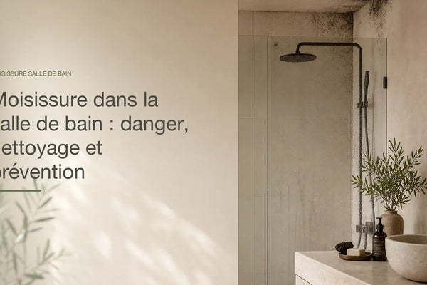 Moisissure dans la salle de bain : danger, nettoyage et prévention