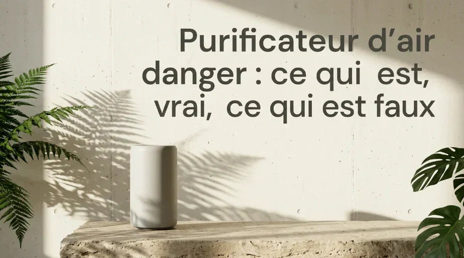 Purificateur d'air danger : ce qui est vrai, ce qui est faux