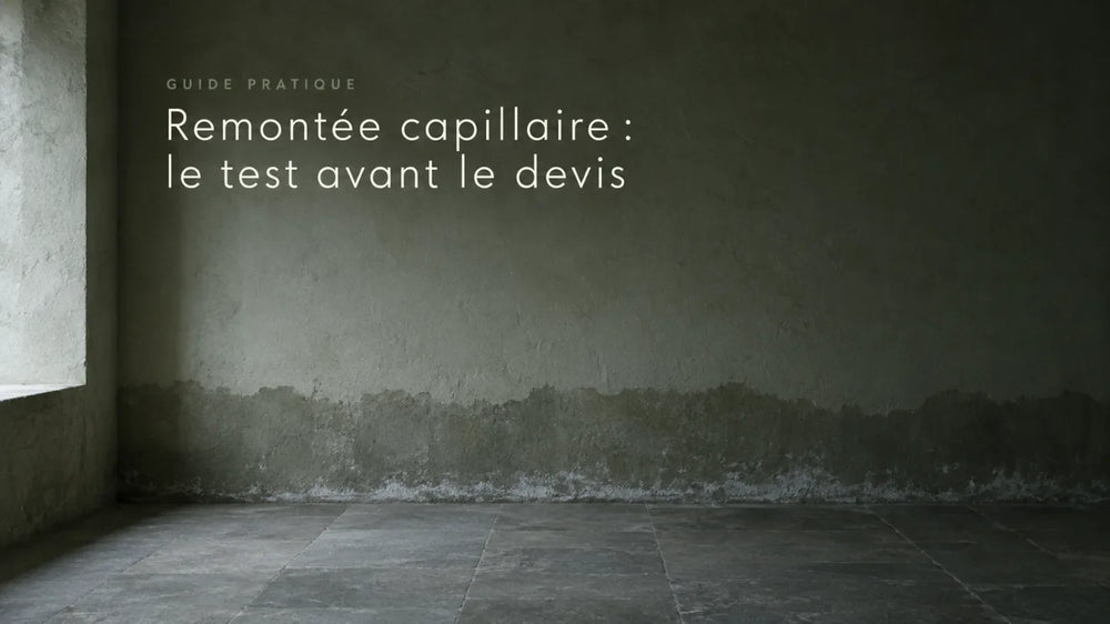 Remontée capillaire : la reconnaître avant le devis, et les traitements qui marchent