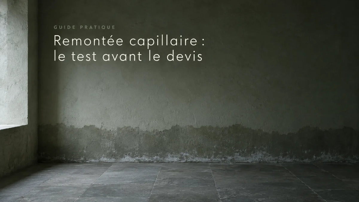 Remontée capillaire : la reconnaître avant le devis, et les traitements qui marchent