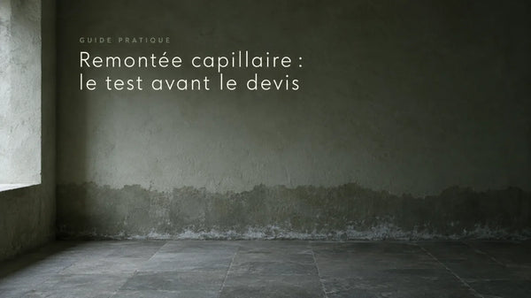Remontée capillaire : la reconnaître avant le devis, et les traitements qui marchent