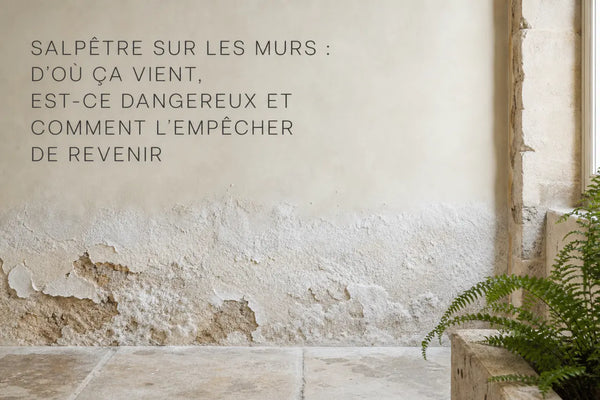 Salpêtre sur les murs : d'où ça vient, est-ce dangereux et comment l'empêcher de revenir