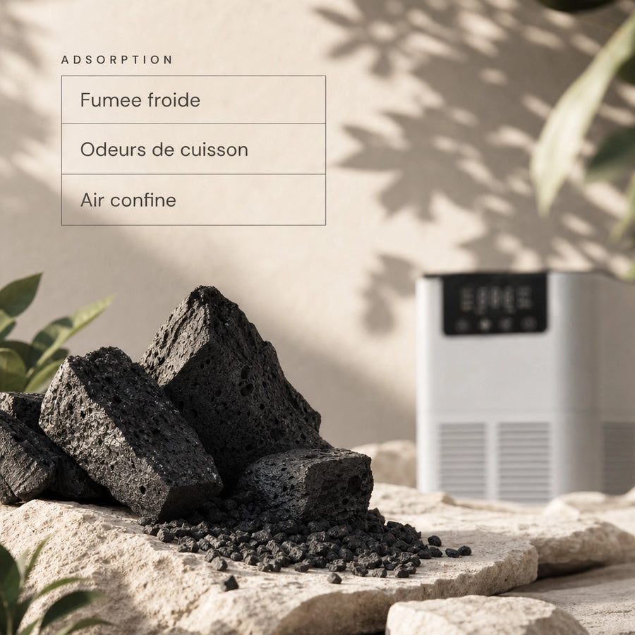 Charbon actif du purificateur d'air HEPA-200 pour adsorption des odeurs de fumee froide, cuisine et air confine