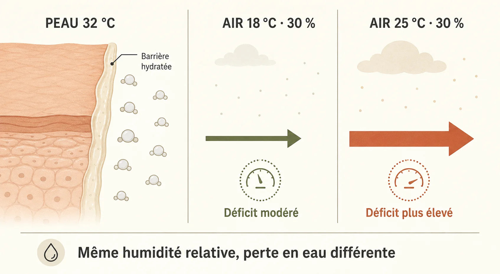 Infographie du déficit de pression de vapeur : à 30 % d'humidité relative, l'air à 25 °C accélère davantage la perte en eau de la peau que l'air à 18 °C