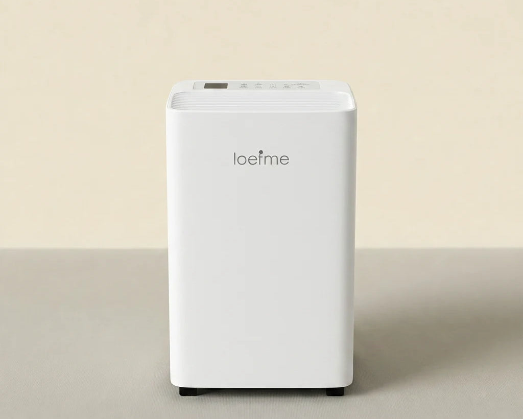 Déshumidificateur Loefme 16L en usage appartement — contrôle de l'humidité au quotidien