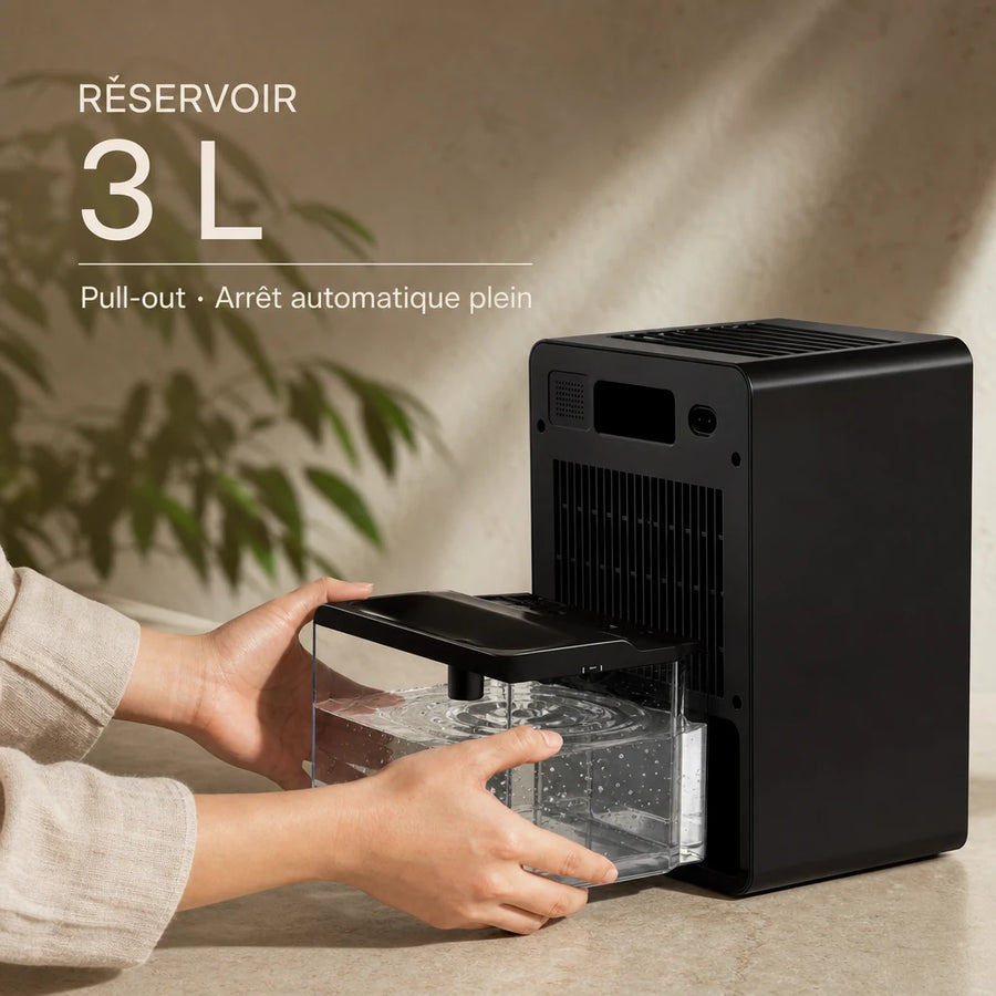Déshumidificateur silencieux Peltier Loefme 3L — entretien du filtre lavable
